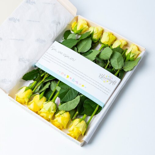 Brievenbus Rozen geel (10 stuks)